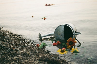 Yellow and orange flowers in gray metal barrels
